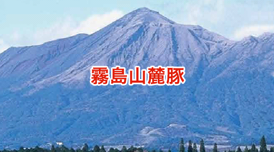 霧島山麓豚